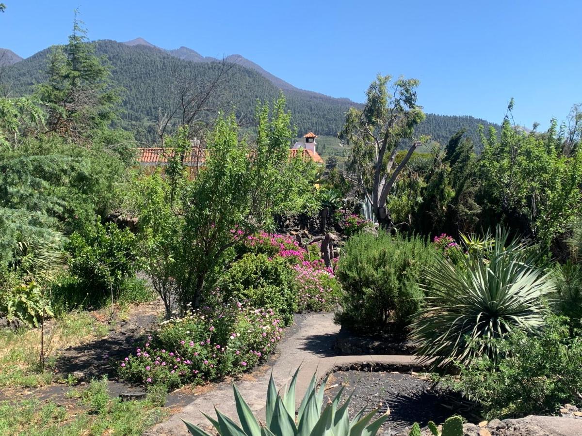 Willa Casa Piedras Blancas With Private Garden El Paso Zewnętrze zdjęcie